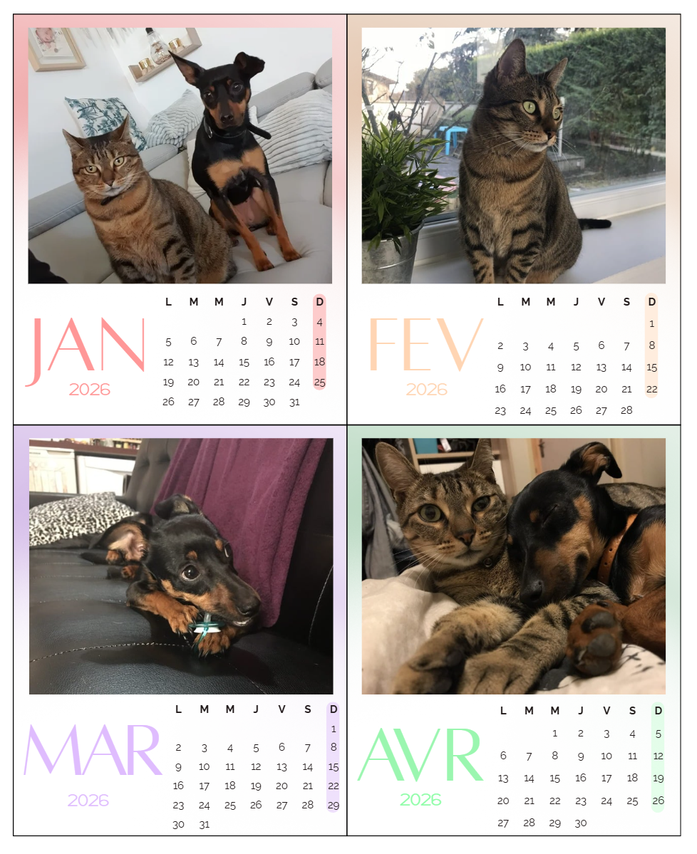 Calendrier magnet 2026 personnalisé