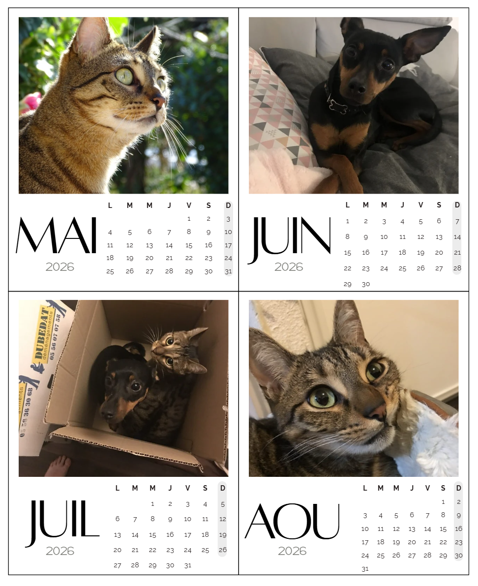 Calendrier magnet 2026 personnalisé