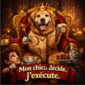 "Mon chien décide, j'exécute" - Les P'tits illustrés carrés