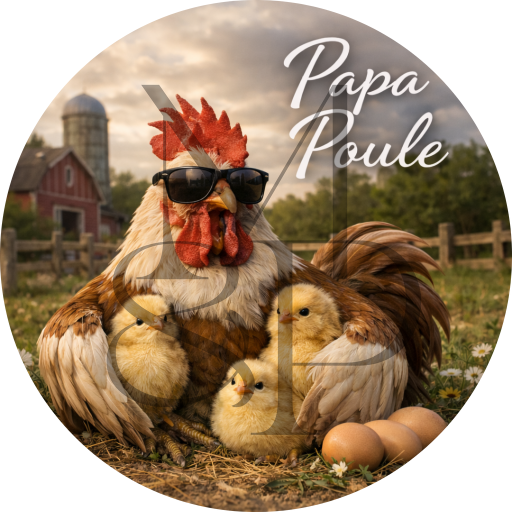 "Papa Poule" - Les P'tits illustrés ronds