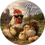 "Papa Poule" - Les P'tits illustrés ronds