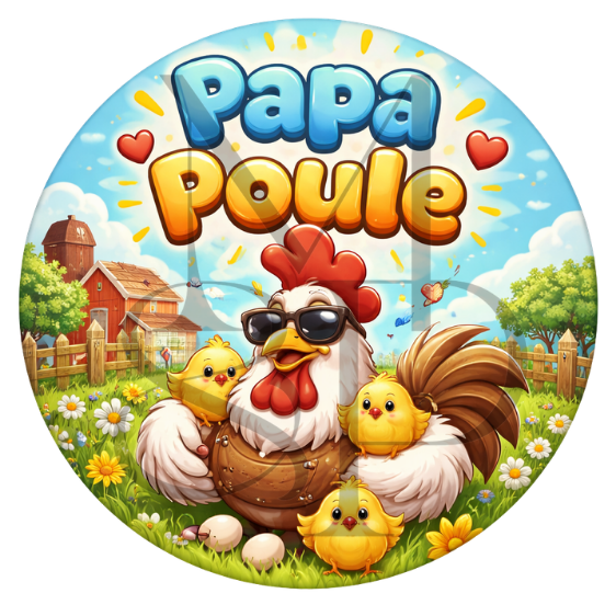 "Papa Poule" - Les P'tits illustrés ronds